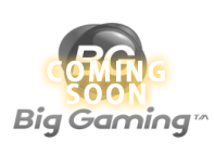 Big Gaming is One of the Casino Software Providers under - XGaming's Vendor Database XGaming